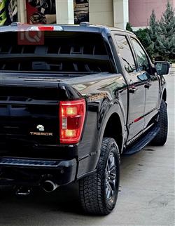 فۆرد F-150